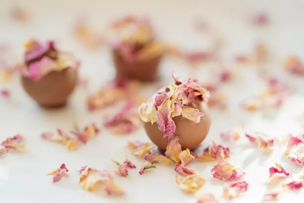 Moon Kasino Android/iOS aplikace